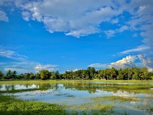 湖畔蓝天绿树美景