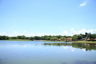 宁静湖畔风光