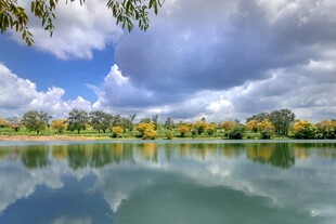 湖畔美景
