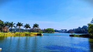 美丽河畔风光