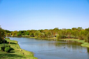 河畔风光美景