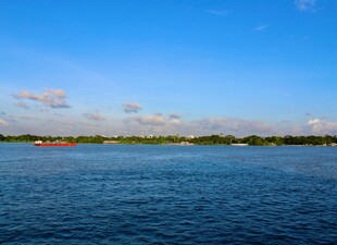 广阔水域与蓝天绿树景观