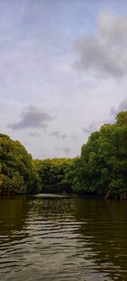 宁静河景