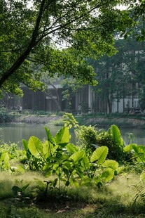 湖畔绿植景观