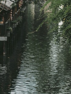 宁静河道旁的古朴景致