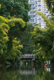 城市河畔绿荫中的静谧桥景
