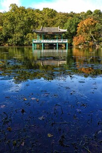 湖畔亭景