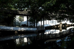 林间静谧水面倒影之景