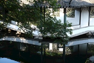 中式庭院水景