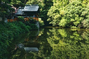 河畔绿荫中的静谧小屋