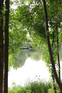 林间湖畔美景
