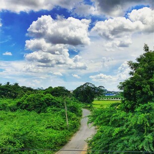 乡间小路