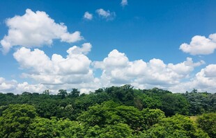 蓝天绿野间的自然美景