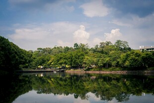 宁静湖畔绿树倒影美景
