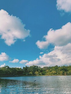 湖畔蓝天绿树美景