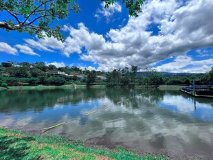 湖畔美景