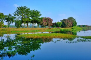 湖畔美景