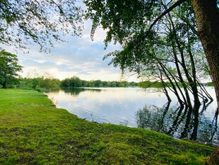湖畔绿荫美景