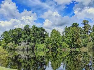 湖畔绿树蓝天倒影美景