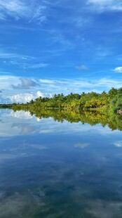 宁静湖畔风光