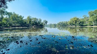 宁静河畔风光
