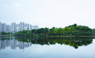 城市湖畔美景