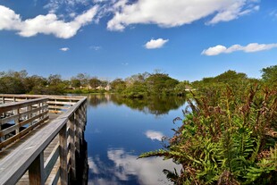 湖畔木栈道风景