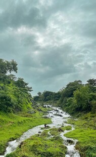 山间溪流绿意盎然的景致