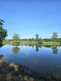 宁静湖畔风光