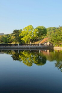 湖畔美景
