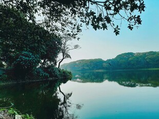 宁静湖畔绿树倒影美景