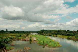 河畔田园风光美景