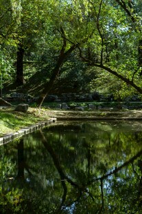 林间静谧池塘倒影美景