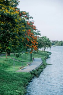 河畔绿荫小道风景