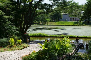 宁静湖畔绿植环绕景致