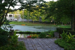 宁静湖畔花园景观