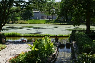 宁静湖畔花园景致