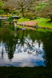 日式园林静谧池塘景观