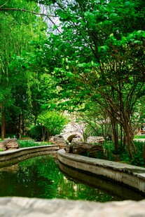清幽林间水景
