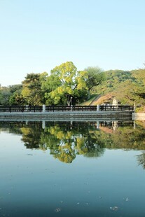 宁静湖畔风光