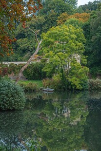 湖畔绿树石桥秋日美景
