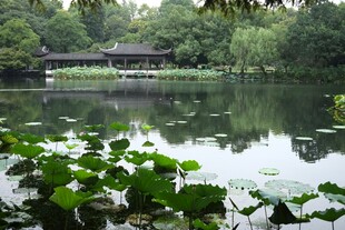 湖畔绿意中的中式建筑景观