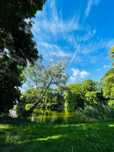 池塘风景