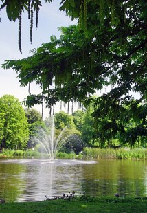 公园湖畔喷泉绿树美景