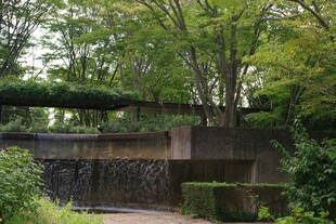 静谧园林景观