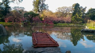 湖畔木栈