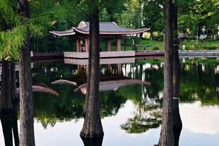 湖畔亭景
