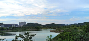美丽湖岸风光