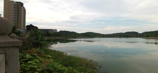 湖畔城市风光美景