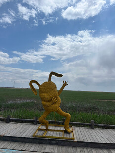 田野